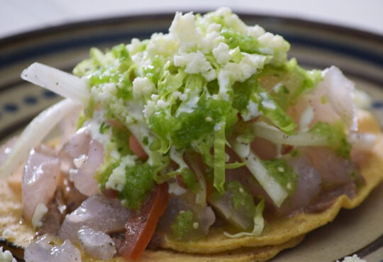 tostadas de pata